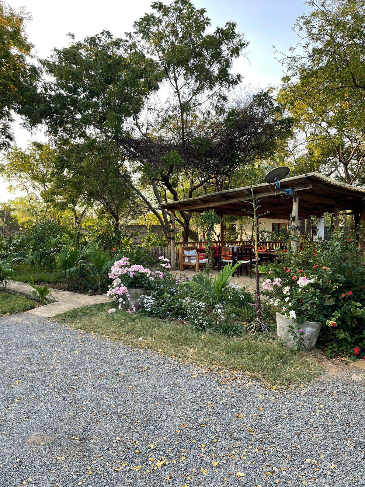 Sundown in the garden