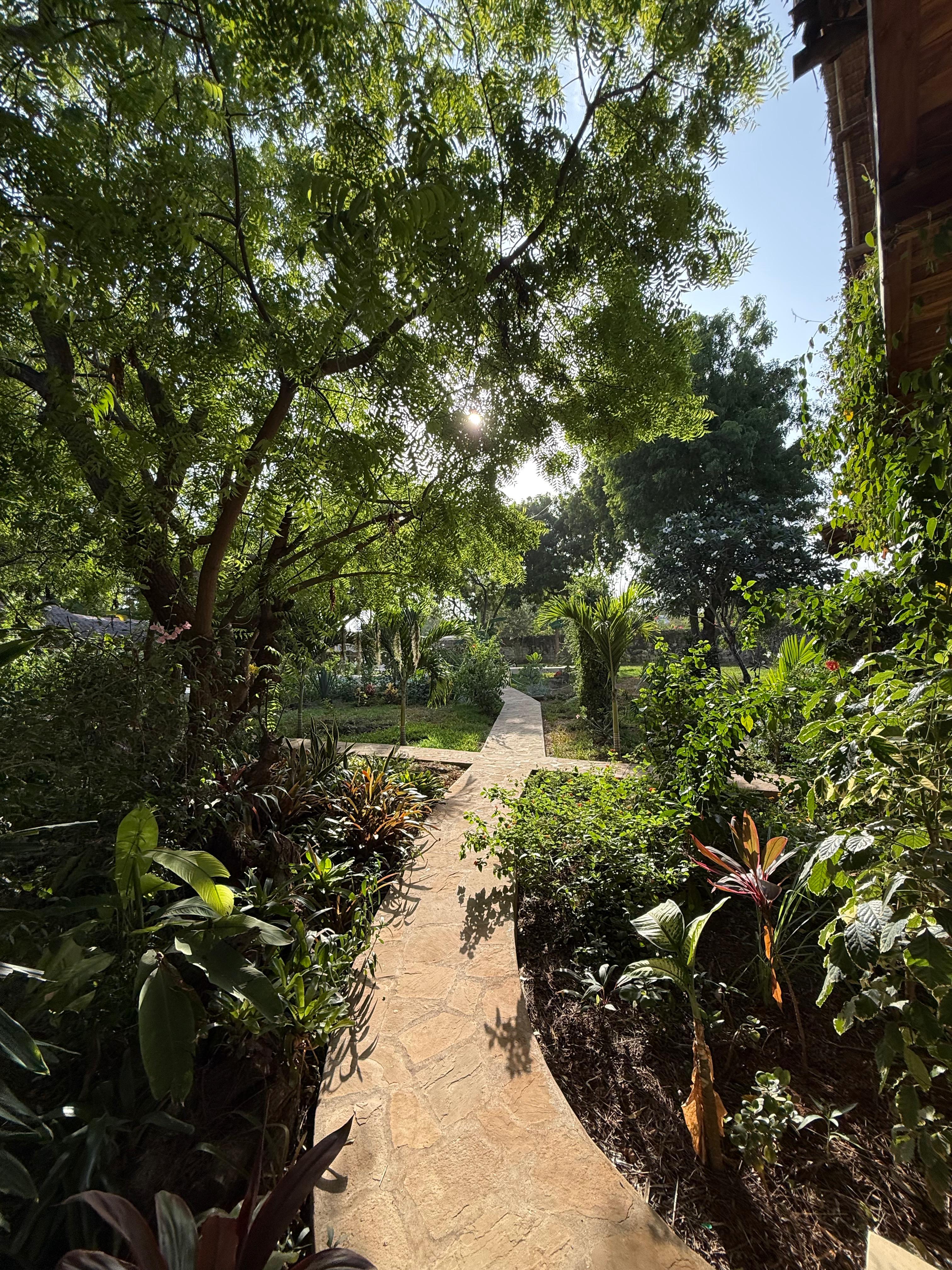 A morning path