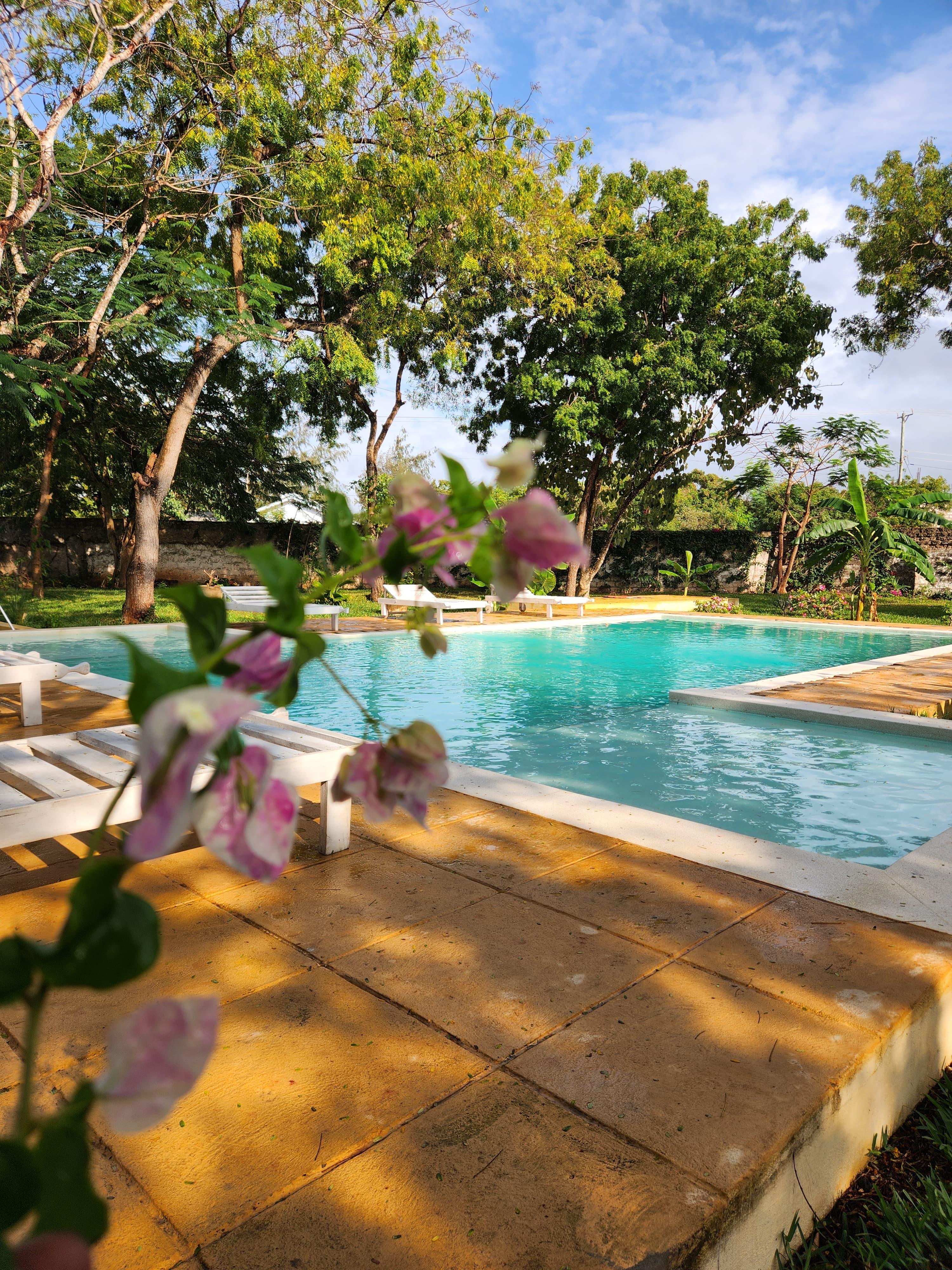Pool with bougainvillea